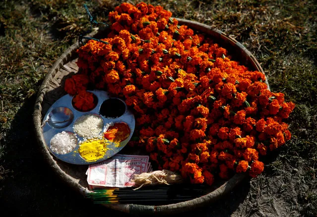 Offerings are kept before worshipping a cow during a religious ceremony celebrating the Tihar festival, also called Diwali, in Kathmandu, Nepal October 19, 2017. (Photo by Navesh Chitrakar/Reuters)