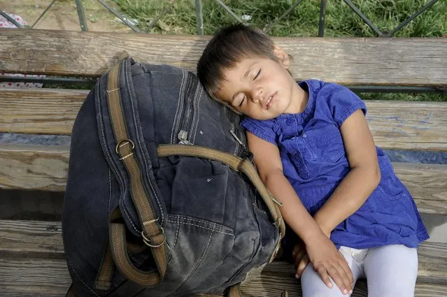 A migrant girl sleeps on a park bench in central Athens after arriving on a passenger ship to the port of Piraeus from Lesbos island, September 10, 2015. (Photo by Michalis Karagiannis/Reuters)