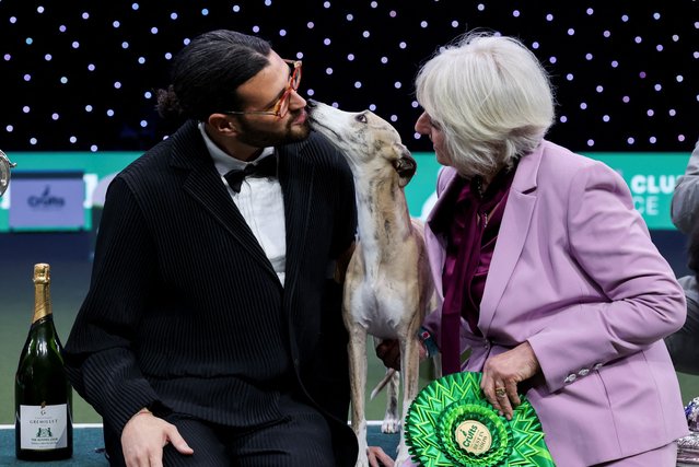 Dog handler Giovanni Liguori and his Whippet named Miuccia celebrate after winning the Best in Show on the final day of the Crufts Dog show in Birmingham, Britain on March 9, 2025. (Photo by Temilade Adelaja/Reuters)
