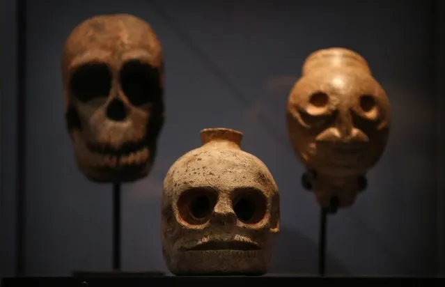 Skulls and skull shaped vessels are displayed at the Death: A Self-portrait exhibition at the Wellcome Collection on November 14, 2012 in London, England. The exhibition showcases 300 works from a unique collection by Richard Harris, a former antique print dealer from Chicago, devoted to the iconography of death. The display highlights art works, historical artifacts, anatomical illustrations and ephemera from around the world and opens on November 15, 2012 until February 24, 2013.  (Photo by Peter Macdiarmid)