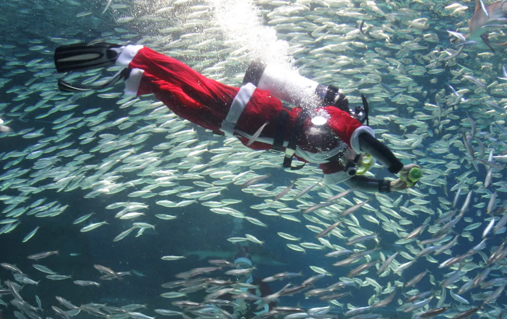 Santa Claus Diver Performs In Seoul