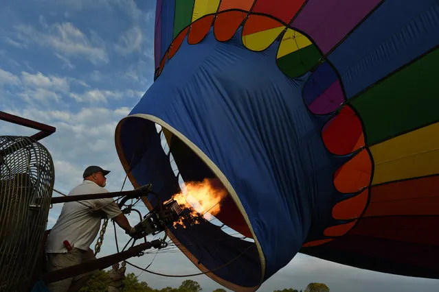 Michael Gerred prepares his hot air balloon for lift off during the Flying Circus Annual Hot Air Balloon Festival on Sunday August 21, 2016 in Bealeton, VA. The air show was cancelled Sunday due to the weather, which also kept many of the balloons from launching. (Photo by Matt McClain/The Washington Post)