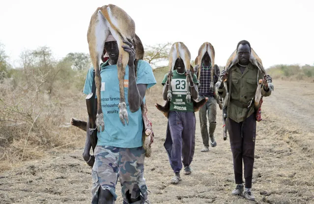 In this photo taken Wednesday, January 24, 2018, men return from the bush after hunting gazelle to sell at the market in Akobo town, one of the last rebel-held strongholds in South Sudan. (Photo by Sam Mednick/AP Photo)
