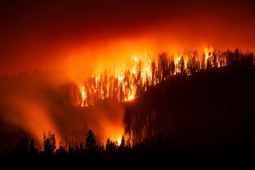 USA last Week, Part 1/2