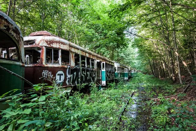 Abandoned trolley graveyard in Pennsylvania. (Photo by Matthew Christopher/Abandoned America/Caters News Agency)