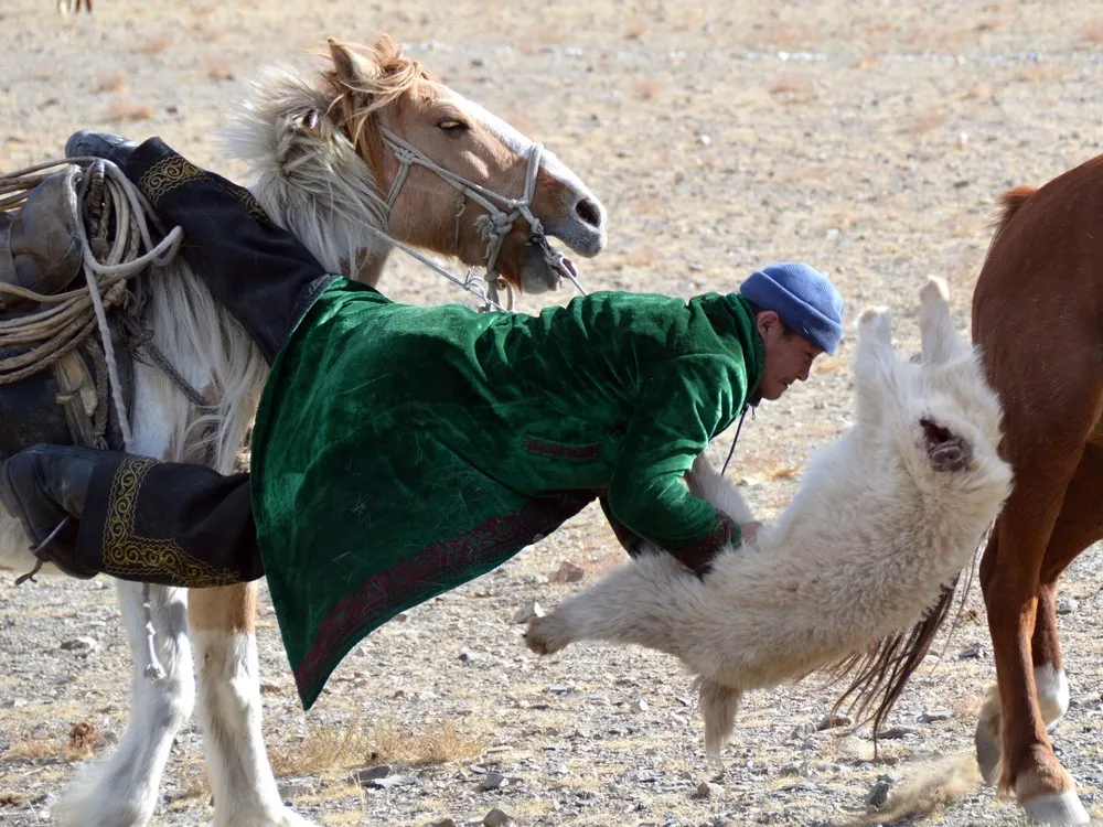Eagle Hunting in Mongolia