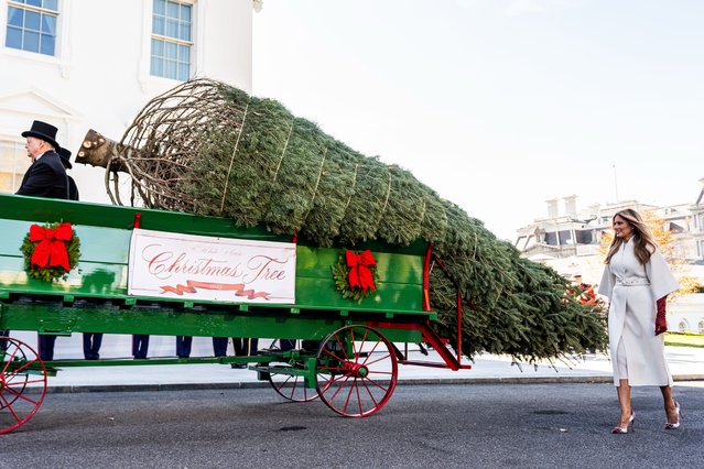 First lady Melania Trump receives the official 2025 White House Christmas Tree, a white fir from Korson's Tree Farms in Michigan, on the North Portico of the White House, Monday, November 24, 2025, in Washington. (Photo by Julia Demaree Nikhinson/AP Photo)