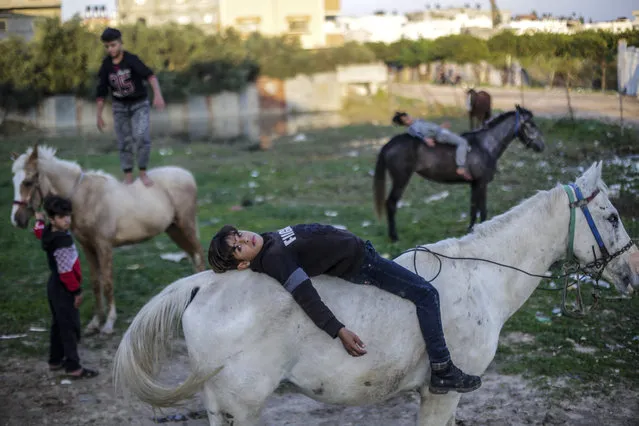 A Palestinian child posing while lying on a horse outside their home in Jabalia camp in the northern Gaza Strip on December 18, 2020. (Photo by Mahmoud Issa/SOPA Images/Rex Features/Shutterstock)