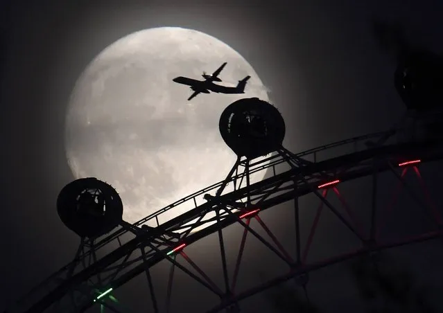An aeroplane flies past the London Eye wheel, and moon, a day before the “supermoon” spectacle in London, Britain, November 13, 2016. (Photo by Toby Melville/Reuters)