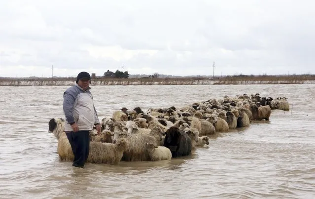 A man stands with his flock of sheep in floodwaters in the village of Darzez near the city of Fier, Albania February 2, 2015. Soldiers were deployed in Albania on Monday to help rescue villagers and strengthen flood barriers after rivers burst their banks under heavy rain that was forecast to continue through the week. No casualties were reported. (Photo by Arben Celi/Reuters)