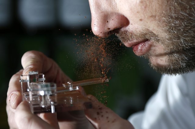 Belgian chocolatier Dominique Persoone snorts cocoa powder off his Chocolate Shooter in his factory in Bruges, February 3, 2015. (Photo by Francois Lenoir/Reuters)