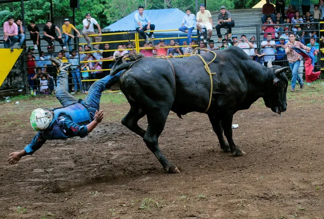 A bullfighter goes flying off the bull during a bull riding event in honour of the capital's patron saint Santo Domingo de Guzman, in Managua, Nicaragua July 29, 2018. (Photo by Oswaldo Rivas/Reuters)