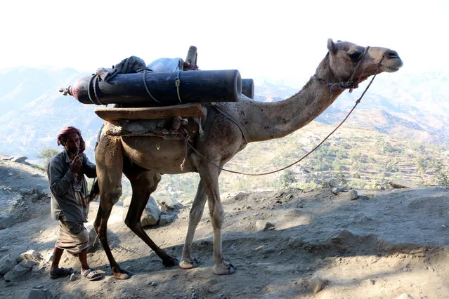A Yemeni man uses a camel to transport oxygen cylinders on a mountainous road to the war-torn city of Taiz, Yemen, 01 January 2016. Ongoing nine-month conflict in Yemen has pushed the war-torn country to the brink of humanitarian disaster. (Photo by EPA/Stringer)