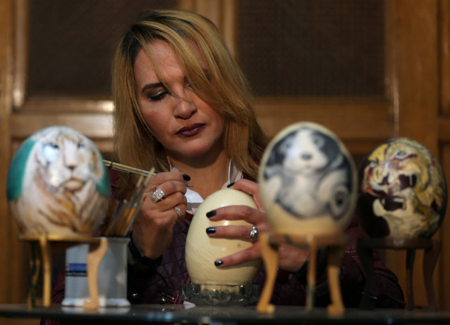 A businesswoman Maha Shalaby paints ostrich eggs in Cairo, Egypt November 27, 2016. (Photo by Mohamed Abd El Ghany/Reuters)