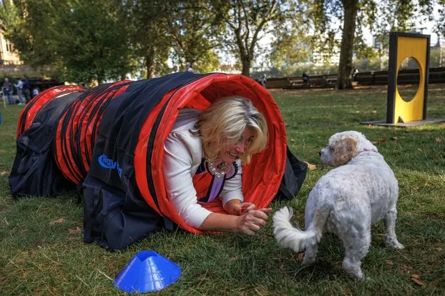 Conservative MP for Southend West Anna Firth competes in the agility section with her cavapoochon, Lottie at Victoria Tower Gardens on September 14, 2023 in London, England. The event raises awareness of the issues affecting dogs today and highlights the relationship owners have with them. (Photo by Dan Kitwood/Getty Images)