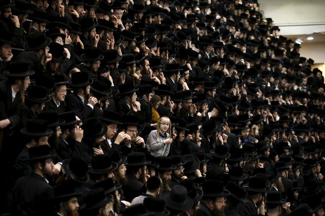 Ultra-Orthodox Jewish men from the Belz Hasidic dynasty attend celebrations for Tu Bishvat, the Jewish Arbor day in Jerusalem January 25, 2016. (Photo by Ronen Zvulun/Reuters)