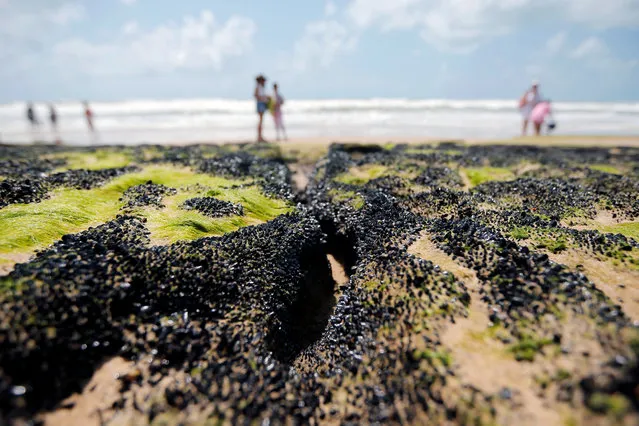 An oil spill is seen on “Sitio do Conde” beach in  Conde, Bahia state, Brazil on October 12, 2019. (Photo by Adriano Machado/Reuters)
