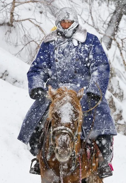 A Kazakh man sits on a horse as he herds his sheep amid heavy snowfall in Yili, Xinjiang Uighur Autonomous Region March 12, 2015. (Photo by Reuters/China Daily)