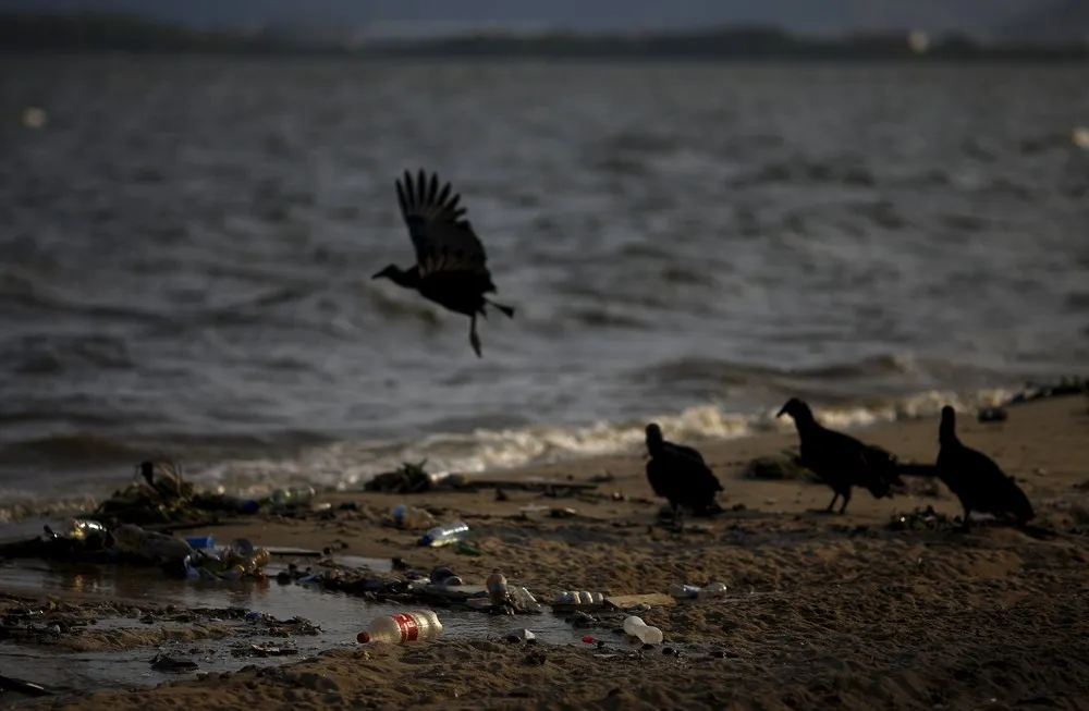 Polluted Water in Brazil