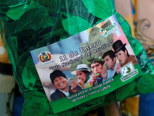 A plastic bag with coca leaves, which shows Bolivia's President Evo Morales images with coca growers leaders, is displayed during the “Coca Day” celebrations at the San Francisco square in La Paz, Bolivia January 11, 2017. (Photo by David Mercado/Reuters)