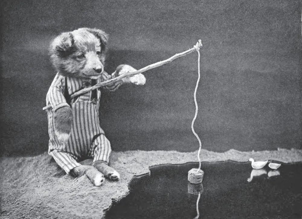 The Extraordinary World of Harry Whittier Frees (UPDATED)