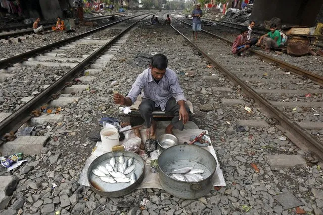 A vendor sprinkles water on his fish as he waits for customers between railway tracks in Kolkata, India, February 25, 2016. (Photo by Rupak De Chowdhuri/Reuters)