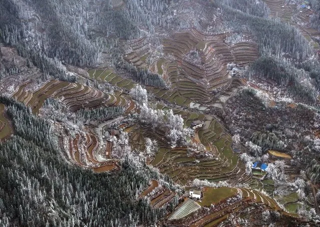 An aerial drone photo taken on February 28, 2024 shows the snow scene in Dayuan Village of Quanzhou County, south China's Guangxi Zhuang Autonomous Region. Affected by a cold front, terraces in Dayuan Village were covered by ice and snow. (Photo by Xinhua News Agency/Rex Features/Shutterstock)