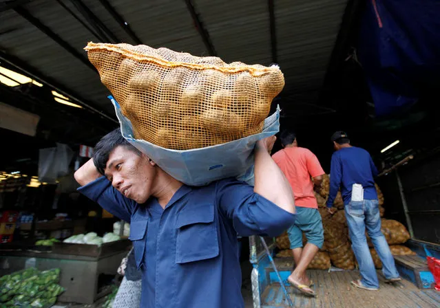 A man unloads sacks of potatoes at Senin Market in Jakarta, Indonesia, January 31, 2017. (Photo by Fatima El-Kareem/Reuters)