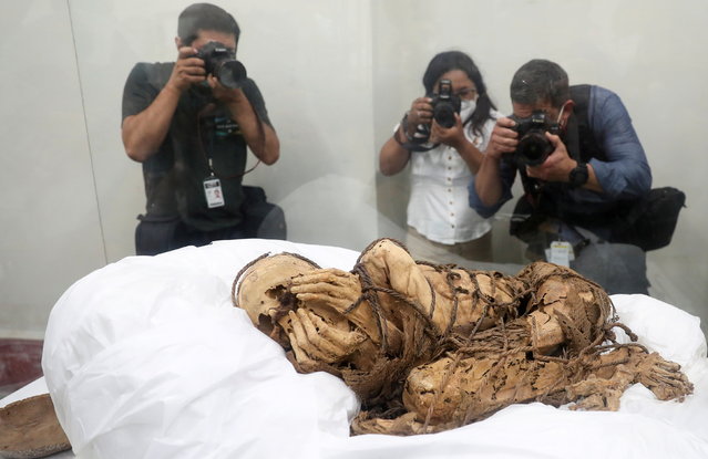 Members of the media take pictures of the pre-Inca “Mummy of Cajamarquilla”, which is presumed to be between 800 and 1200 years old, in Lima, Peru December 7, 2021. The “Mummy of Cajamarquilla” found by archaeologists from San Marcos inside a burial chamber of about three meters long and a depth of 1.40 meters in the Cajamarquilla archaeological site, east of Lima. (Photo by Sebastian Castaneda/Reuters)
