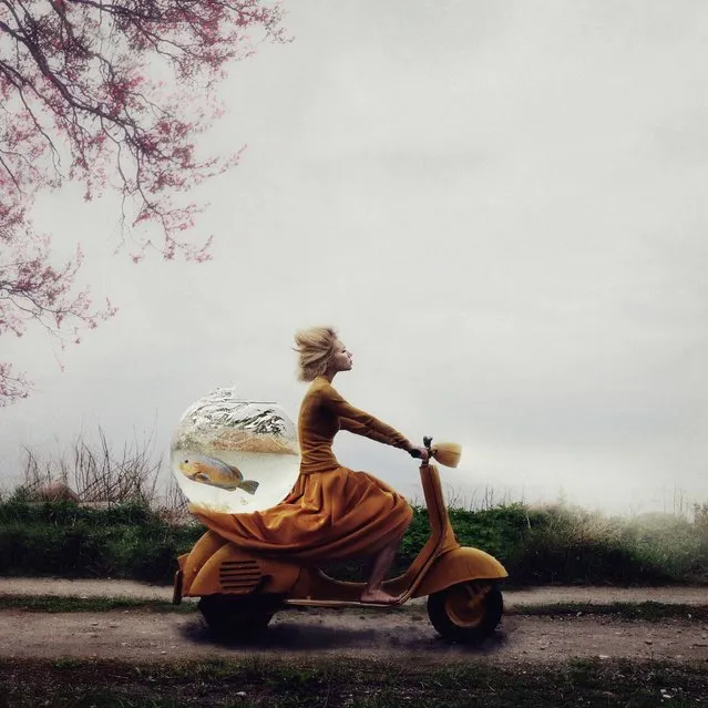 “A daydream about a getaway or rescue, a story with an open ending”. (Photo and caption by Kylli Sparre/2014 Sony World Photography Awards)