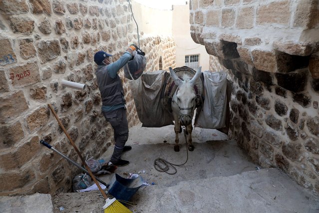 A municipal employee guiding a donkey collects garbage bags in a stairway in Mardin, southeastern Turkey, on October 18, 2021. (Photo by Adem Altan/AFP Photo)