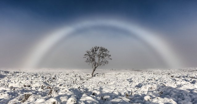 Photographer Melvin Nicholson captures a rare white “fog bow” rainbow, in Rannoch, Scotland, November 20, 2016. (Photo by Melvin Nicholson/Rex Features/Shutterstock)