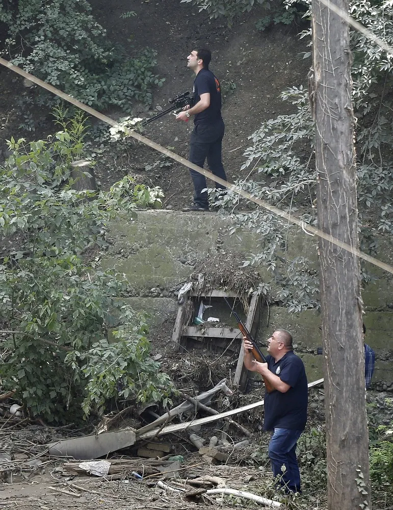 Flooded Zoo, Tbilisi, Georgia