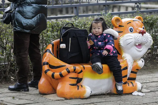 A child sits on a tiger bench at Jiufeng Forest Zoo during the first day of Spring Festival on February 1, 2022 in Wuhan, China. China is marking the Spring Festival which begins with the Lunar New Year on February 1st, ushering in the Year of the Tiger. (Photo by Getty Images)