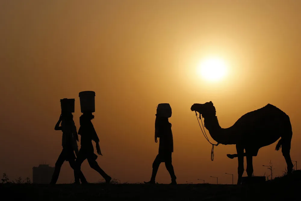 Simply Some Photos: Silhouettes, Part 2