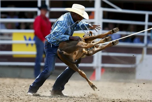 Fred Whitfield of Hockley, Texas flips a calf in the tie-down roping event during the Calgary Stampede rodeo in Calgary, Alberta, July 10, 2015. (Photo by Todd Korol/Reuters)