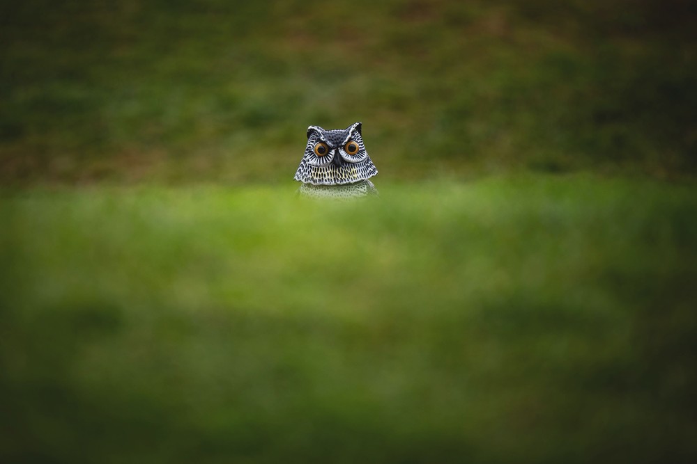 Sport last Week, Part 2/4