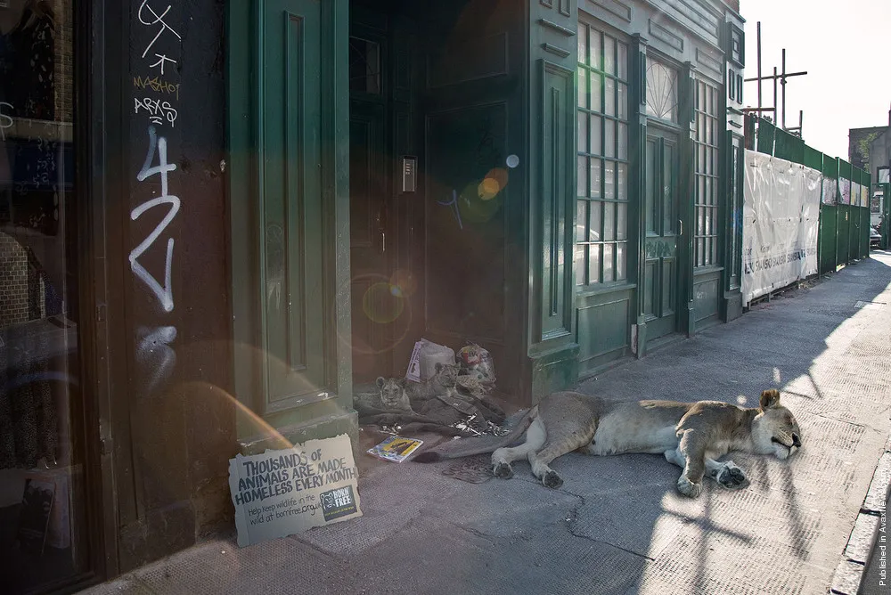 Photographers: George Logan