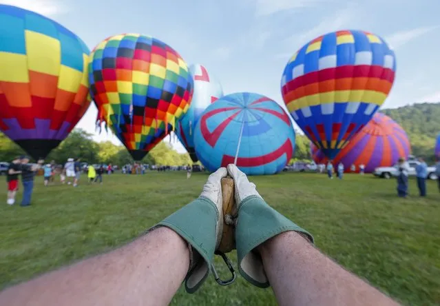 Crown line handler Bobby Marie controls 'Chain Gang' as the balloon is inflated during the 43nd Annual Helen to the Atlantic Balloon Race and Festival, in Helen, Georgia, USA, 04 June 2016. The race is the oldest balloon event in the southern USA and United States' only long-distance hot air balloon race, according to the organizers. (Photo by Erik S. Lesser/EPA)