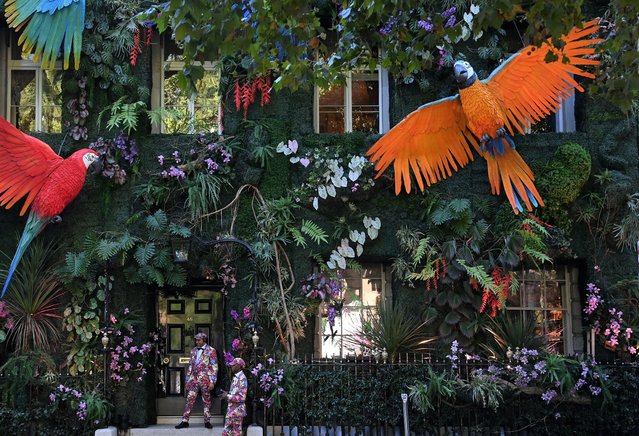 Doormen wear floral themed suits as they work at Annabel's members club, decorated to coincide with the RHS Chelsea Flower Show, in London, Britain, September 24, 2021. (Photo by Toby Melville/Reuters)