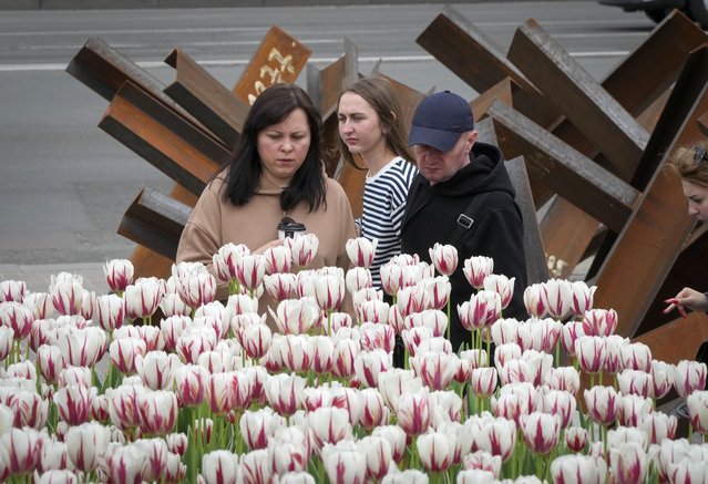 People enjoy tulips as they stand in front of anti-tank hedgehogs, in central Kyiv, Ukraine, Saturday, May 14, 2022. (Photo by Efrem Lukatsky/AP Photo)