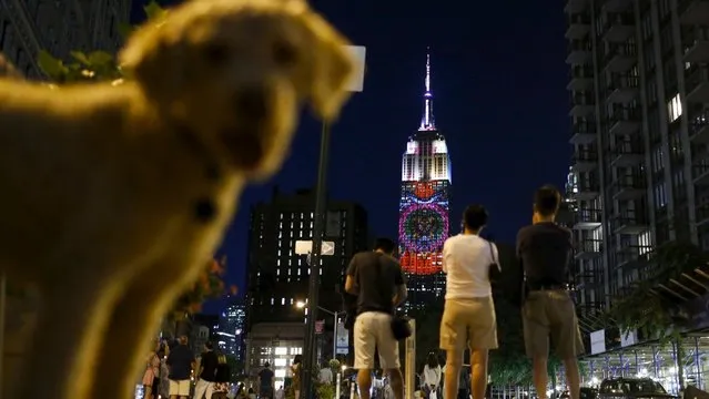 Empire State Building Brings Endangered Animals