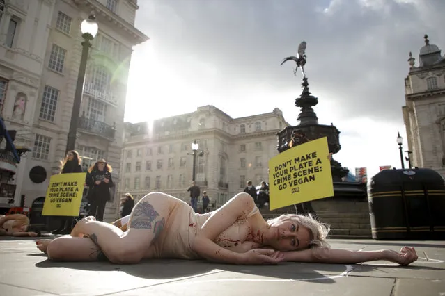 Animal rights activists from People for the Ethical Treatment of Animals (PETA) stage a “die-in” to mark World Vegan Day in Piccadilly Circus in London, Monday, November 1, 2021. The demonstration sought to draw attention to the suffering and death of animals in the meat, egg and dairy industries. (Photo by David Cliff/AP Photo)