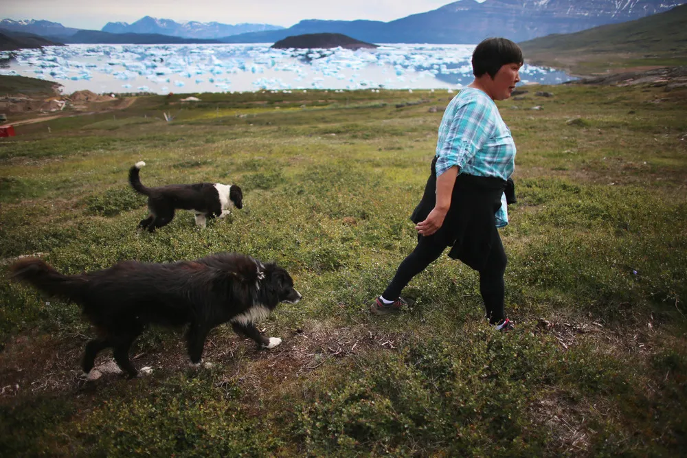 A Look at Life in Greenland