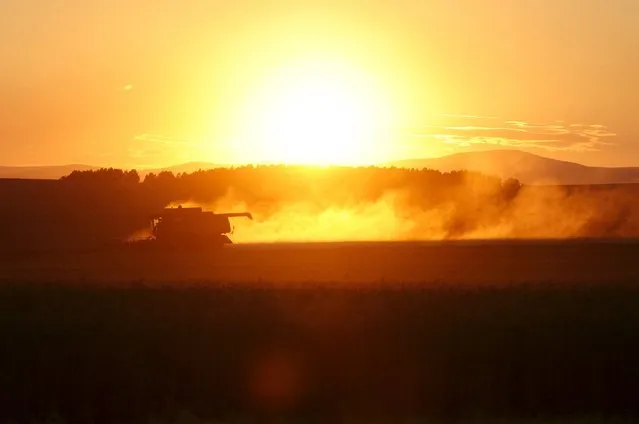 A combine harvester works on a wheat field of the Solgonskoye farming company during sunset near the village of Talniki, southwest from Siberian city of Krasnoyarsk, Russia, August 27, 2015. (Photo by Ilya Naymushin/Reuters)