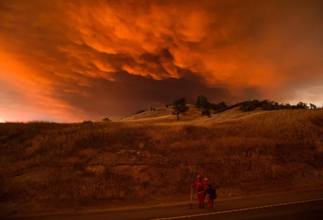 Firefighters monitor the Rocky fire near Clearlake, California, USA, 2 August 2015. (Photo by Noah Berger/EPA)