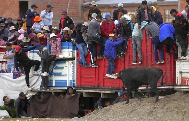 People flee from a bull during the Our Lady of the Rosary festival in the Andean village of Huarina, Bolivia, Monday, October 3, 2022. A group of amateur bullfighters performed a parody of the Spanish bullfight, but without sacrificing the bulls. (Photo by Juan Karita/AP Photo)