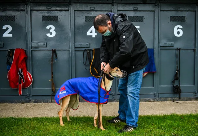 Trainer Derek Wilde with Carrigoe Caitlin ahead of the Failte go dti na Gortana Taispeaineach 525 Stakes at Enniscorthy Greyhound Stadium in Wexford, Ireland on June 18, 2020. Greyhound racing across the Republic of Ireland returned, on 18 June, as restrictions on sporting events are relaxed during the Coronavirus (COVID-19) pandemic. (Photo By Stephen McCarthy/Sportsfile via Getty Images)