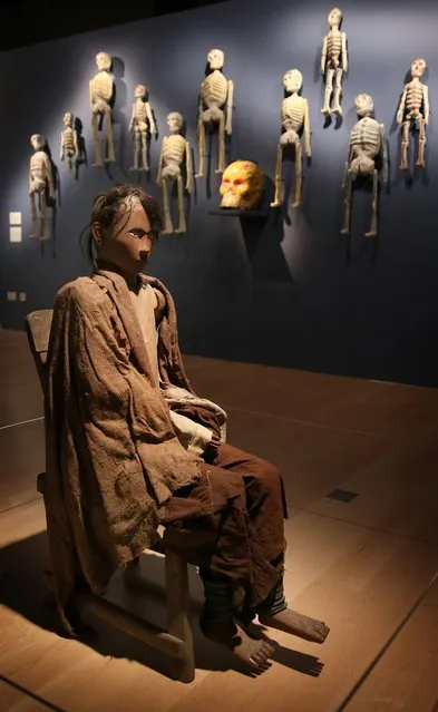 An Indonesian Tau-Tau or grave guardian sculpture sits near Mexican' Day of the Dead' papier-mache skeletons at the Death: A Self-portrait exhibition at the Wellcome Collection on November 14, 2012 in London, England. The exhibition showcases 300 works from a unique collection by Richard Harris, a former antique print dealer from Chicago, devoted to the iconography of death. The display highlights art works, historical artifacts, anatomical illustrations and ephemera from around the world and opens on November 15, 2012 until February 24, 2013.  (Photo by Peter Macdiarmid)