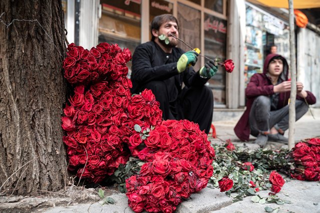 Afghan vendors selling roses wait for customers along the flower street on the occasion of Valentine's Day in the Shar-e-Naw area of Kabul on February 14, 2023. Florists with wilting bouquets of red roses and street vendors clutching unsold balloons were heart-broken in Kabul on February 14, after the Taliban morality police banned Valentine's Day celebrations. (Photo by Wakil Kohsar/AFP Photo)